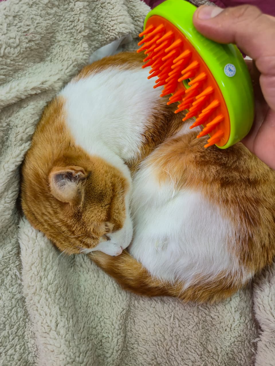 Cepillo de Vapor para Mascotas Recargable con Diseño de Gota Premium