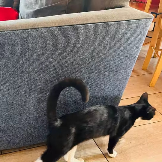 rascador de muebles para gatos