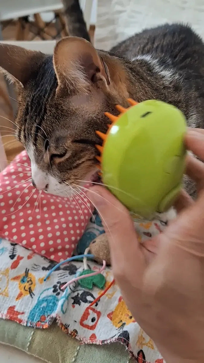 cepillo de vapor para gatos