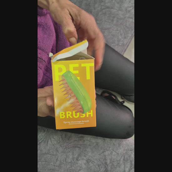 Cepillo de Vapor para Gatos Ergonómico y Removedor de Pelo Antivuelo