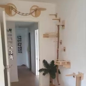 puente para gatos